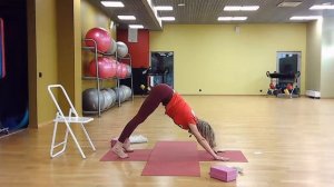 Йога Айенгара