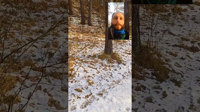 Для кого Человек является Богом? Ужасно-красивая правда. Энергия Любви. Экопоселения. Антон Ясносве смотреть онлайн