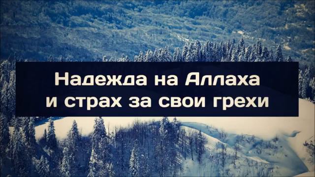 Надежда на Аллаха и страх за свои грехи ¦¦ Абу Яхья Крымский смотреть онлайн