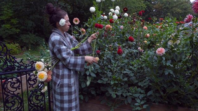 Quiet, Relaxing Cut Flower Garden Harvest...Getting Lost In the Flowers to Soothe My Soul! смотреть онлайн