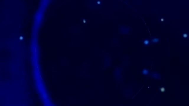 01 Emperor Waltz Strauss смотреть онлайн