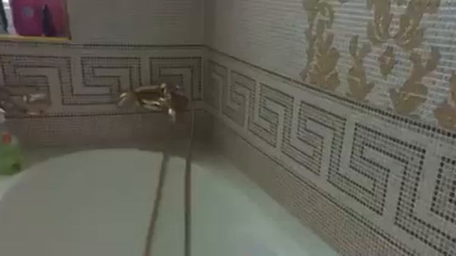 Орхидея Парк смотреть онлайн