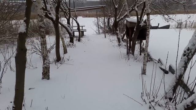 Славянск. 29 января 2023г. Зимнее утро! смотреть онлайн