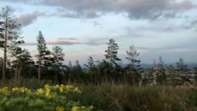 Кометы - Polnalyubvi | Cover