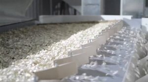 Проект сортировки и очистки тыквенных семечек 2тонн/час