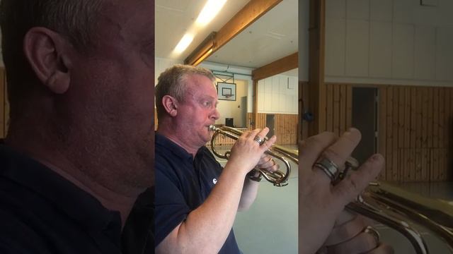 Soprano Cornet La Califfa смотреть онлайн