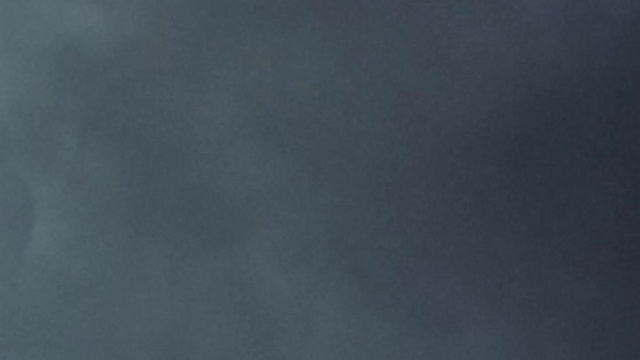 Greenpeace X Aytlo Short