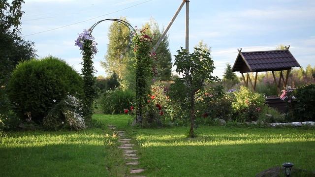 У старушки слезятся глаза... Стихи смотреть онлайн