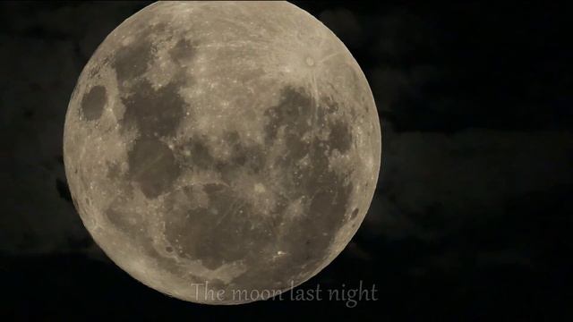 The Moon. смотреть онлайн