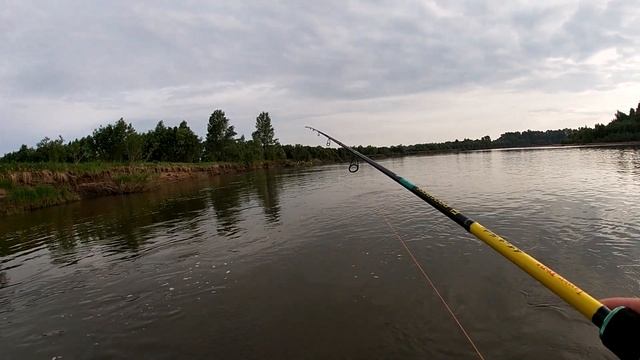 УРА!!!!!! ЗАПРЕТ СНЯТ И МЫ НА РЫБАЛОЧКЕ В НИЗОВЬЯХ Р. БАТЮШКА ЧУЛЫМ смотреть онлайн