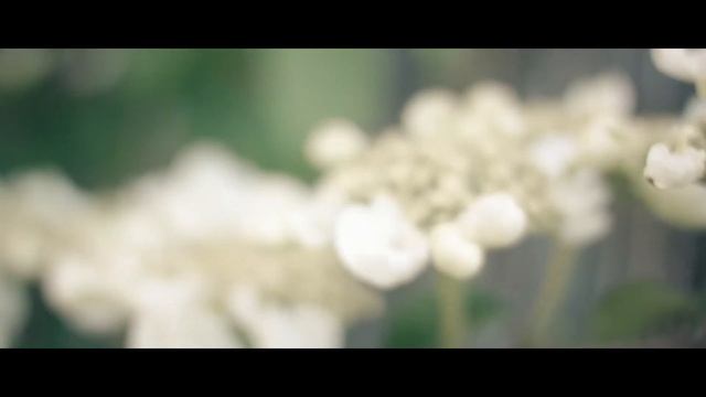 Black Magic Pocket Cinema Camera Panasonic 20mm 1.7 Footage смотреть онлайн
