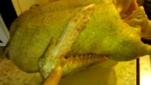 Вес индоутки в 3 месяца