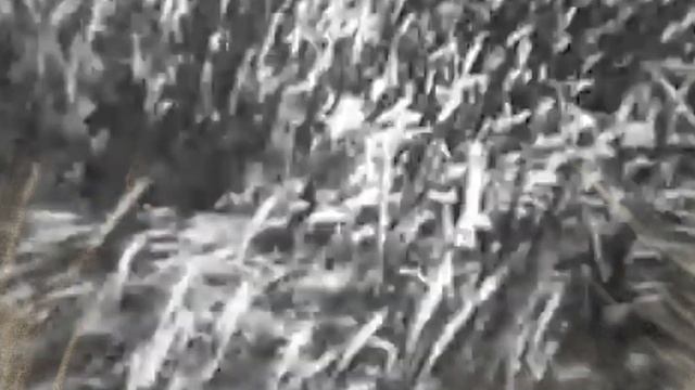 "За того парня" - композитор Марк Фрадкин, стихи Роберта Рождественского. Исполняет Владимир Берего смотреть онлайн