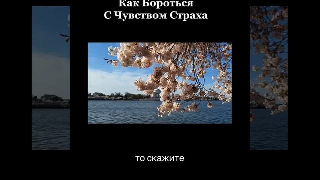 Как бороться с чувством страха смотреть онлайн