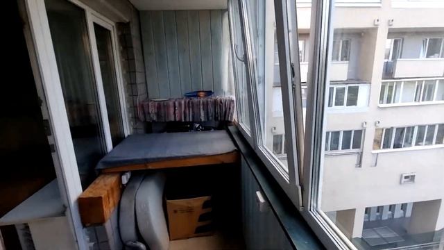 1-комнатая квартира: г. Санкт-Петербург, Калининский р-н, пр-кт Гражданский, д. 6 (аренда) смотреть онлайн