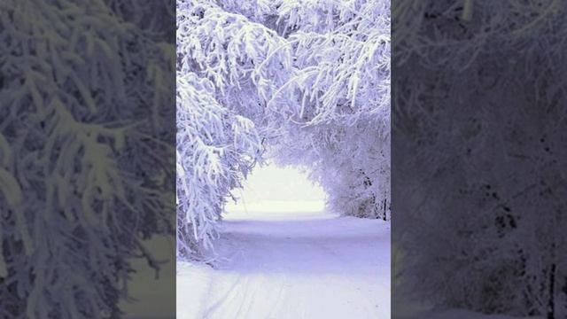 Крещенский Сочельник 18 ЯНВАРЯ. смотреть онлайн