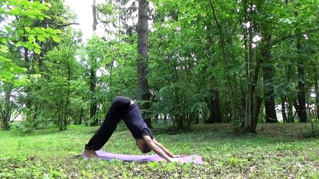 йога, лучшее место - природа, лучшее время - утро смотреть онлайн