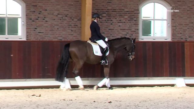 15 Furioso Lane - EDS COLLECTION 2018 смотреть онлайн