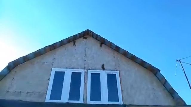 #Нашествие#Белки#Белочкапришла Нашествие белок на дачный дом. г. Ноябрьск смотреть онлайн