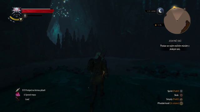 The Witcher 3: Wild Hunt Carven of dreams смотреть онлайн