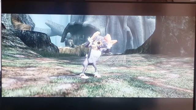 The Legend of Zelda Twilight Princess HD - Come raggiungere la Foresta Sacra di Firone смотреть онлайн