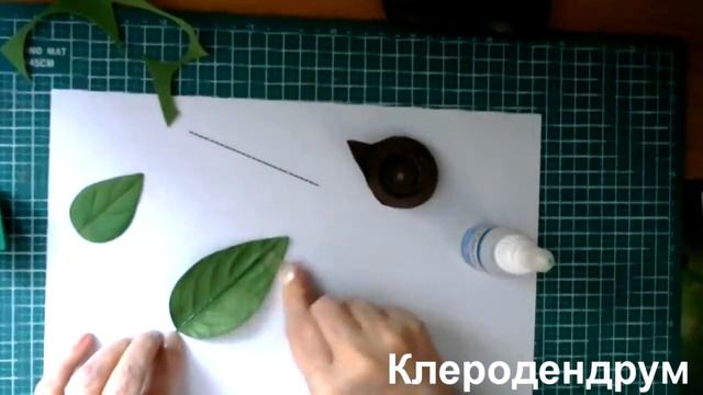 Клеродендрум из фоамирана Наталии Тарасовой. смотреть онлайн