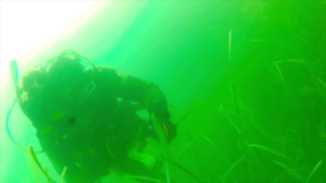 Diving in Crimea смотреть онлайн