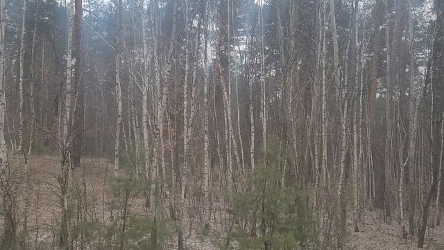 Этот стих укажет вам, где взять силы,и как стать богатым! смотреть онлайн