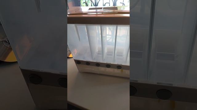 Мои покупки на Wildberries... смотреть онлайн