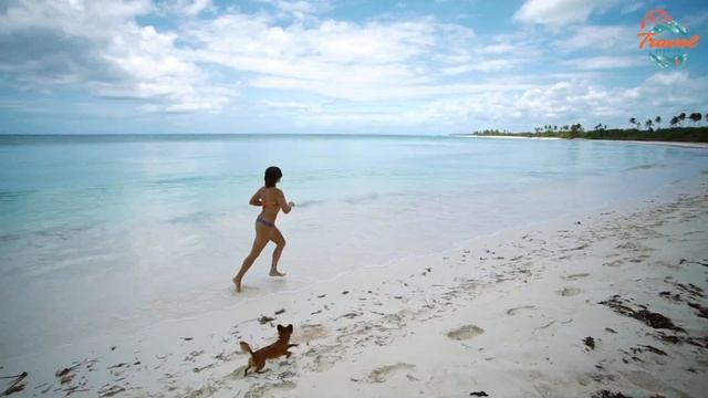 Самые интересные экскурсии в Доминикане смотреть онлайн