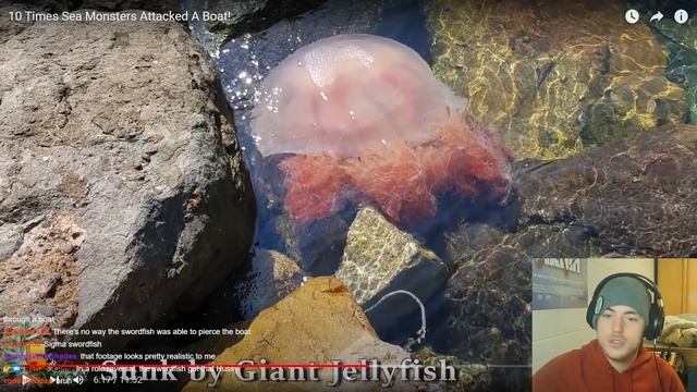 Fish Biologist reacts to "WORST Sea Monster Attacks" смотреть онлайн