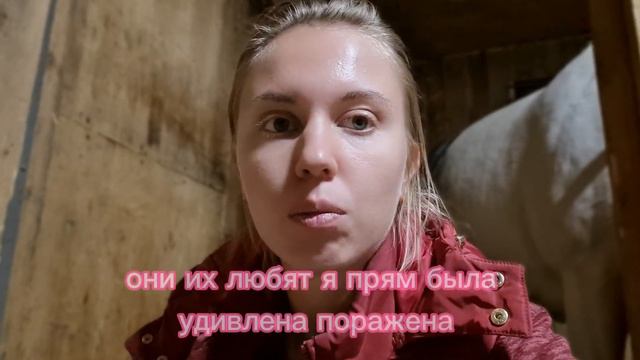 Конная эстетика. о содержании собственной лошади. Как купить лошадь, наш путь, исполнение мечты смотреть онлайн