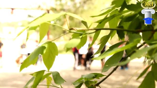 Празднование Дня Победы в Гимназии смотреть онлайн