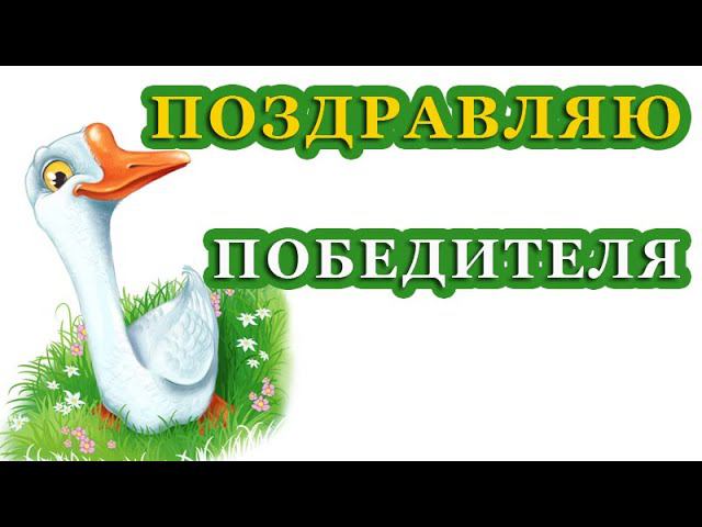ПОЗДРАВЛЯЕМ ПОБЕДИТЕЛЯ! ПРИЕЗЖАЙТЕ ЗА СВОИМ ГУСИКОМ! смотреть онлайн