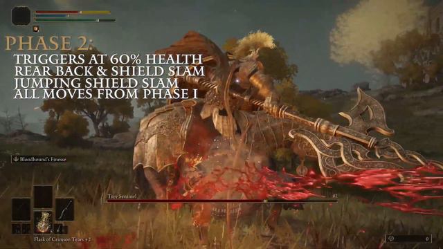 ELDEN Ring Boss Guide: Tree Sentinel Tips, Tricks & The Unwritten Rules смотреть онлайн