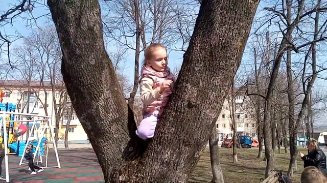 Учимся лазить по деревьям. Вроде интересно. смотреть онлайн