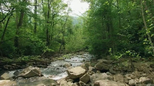 Нападение медведя или предательство друга.Аудио рассказы.?????истории из жизни. смотреть онлайн