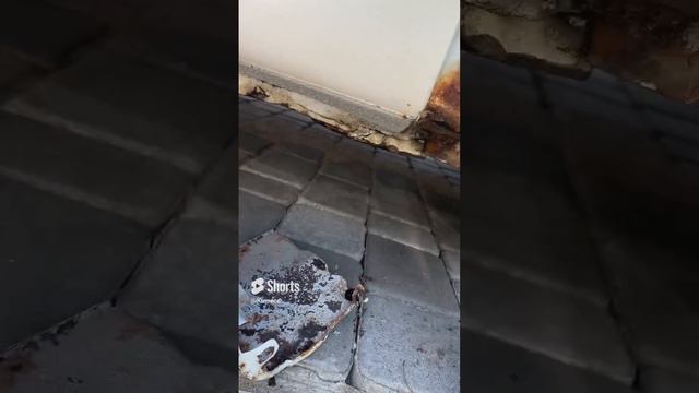 Аккорд живи!!!