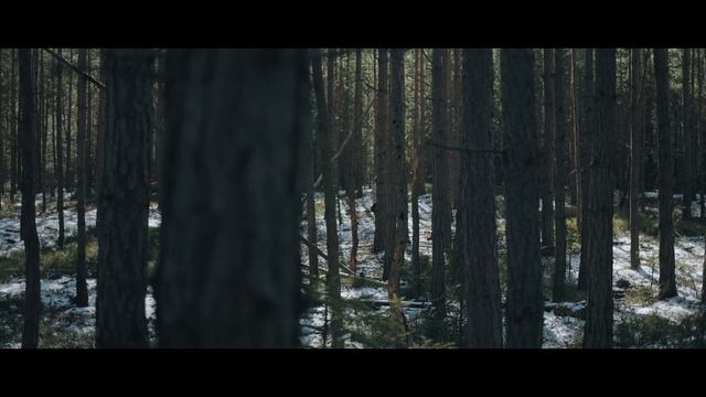 Canon EOS R6 & Canon 35mm F2 IS | Cinematic 4K смотреть онлайн