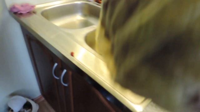 Процесс приготовления белого Коньяка.чтобы у жены голова не болела перед сном?♀️??? смотреть онлайн