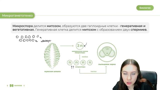 ЖИЗНЕННЫЙ ЦИКЛ ГОЛОСЕМЕННЫХ | БИОЛОГИЯ ЕГЭ | 99 БАЛЛОВ смотреть онлайн