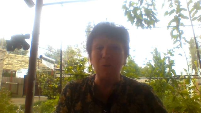 значения не имеет где я нахожусь! Бизнес в интернете с Натальей Лозовой смотреть онлайн