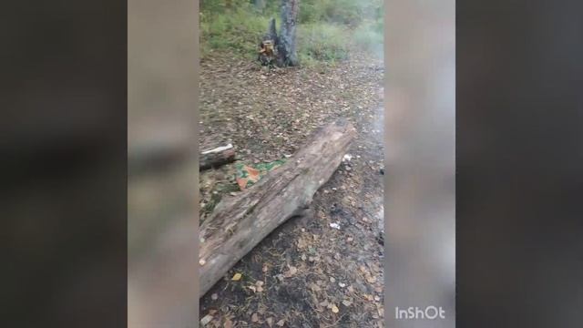 Брянск ,святое озеро, Жуковский район. смотреть онлайн