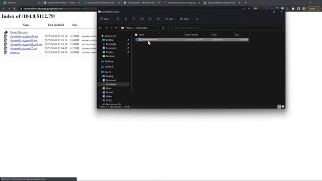 Tutorial Selenium [Indonesia] 1# - Apa itu? & instalasi смотреть онлайн