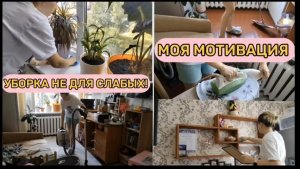 МОТИВАЦИЯ НА УБОРКУ👍ВЫ ЗАХОТИТЕ ПОВТОРИТЬ! 🐝