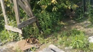 Как обкатать компрессор