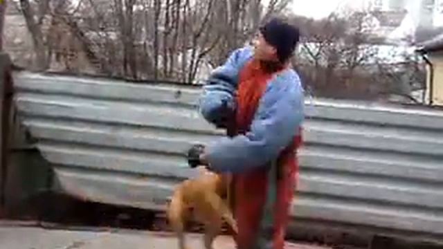 Питомник бордоских догов «Perle de France» http://perl.petsinform.com/ смотреть онлайн