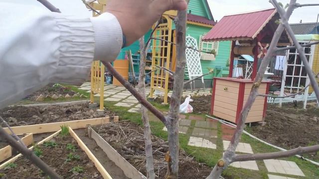 Видео привет с 6 соток. 11 мая 2022 г. greeting from the garden смотреть онлайн
