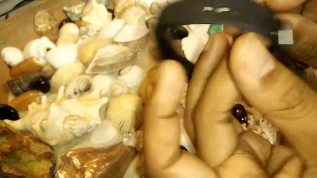 Smart Watch Review - Curiocity Veryfit 2.0 health band смотреть онлайн