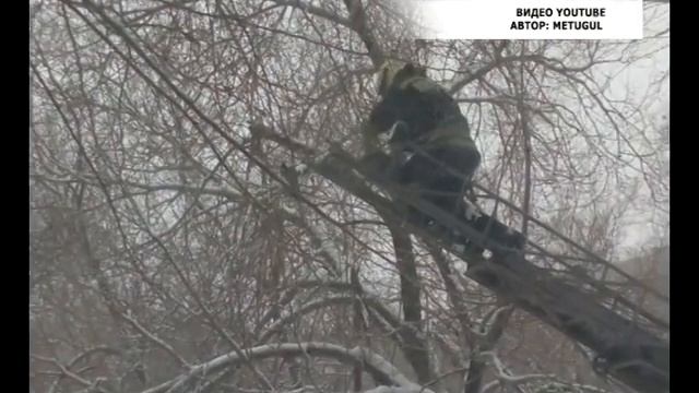 Спасатели МЧС Саяногорска спасли голубя